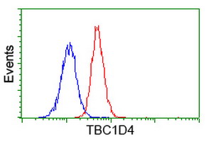 TBC1D4 / AS160 Antibody - Flow cytometry of Jurkat cells, using anti-TBC1D4 antibody (Red), compared to a nonspecific negative control antibody (Blue).