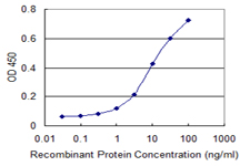 TBCA Antibody - Detection limit for recombinant GST tagged TBCA is 0.3 ng/ml as a capture antibody.