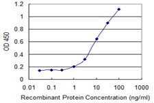 TBCC Antibody - Detection limit for recombinant GST tagged TBCC is 0.3 ng/ml as a capture antibody.