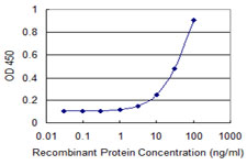 TBX21 / T-bet Antibody - Detection limit for recombinant GST tagged TBX21 is 1 ng/ml as a capture antibody.