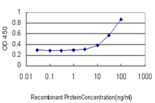 TBX6 Antibody - Detection limit for recombinant GST tagged TBX6 is approximately 3 ng/ml as a capture antibody.