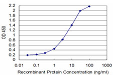 TCEA3 Antibody - Detection limit for recombinant GST tagged TCEA3 is approximately 0.03 ng/ml as a capture antibody.