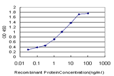 TCEB2 / Elongin B Antibody - Detection limit for recombinant GST tagged TCEB2 is approximately 0.03 ng/ml as a capture antibody.