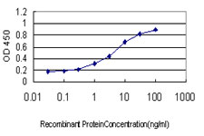 TCEB3 / Elongin A Antibody - Detection limit for recombinant GST tagged TCEB3 is approximately 0.1 ng/ml as a capture antibody.