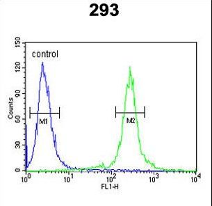 TCERG1L Antibody - TCERG1L Antibody flow cytometry of 293 cells (right histogram) compared to a negative control cell (left histogram). FITC-conjugated goat-anti-rabbit secondary antibodies were used for the analysis.