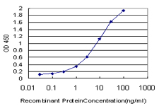 TCF19 / TCF-19 Antibody - Detection limit for recombinant GST tagged TCF19 is approximately 0.1 ng/ml as a capture antibody.