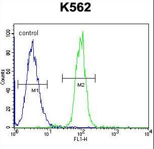 TCF21 / Epicardin Antibody - TCF21 Antibody flow cytometry of K562 cells (right histogram) compared to a negative control cell (left histogram). FITC-conjugated goat-anti-rabbit secondary antibodies were used for the analysis.