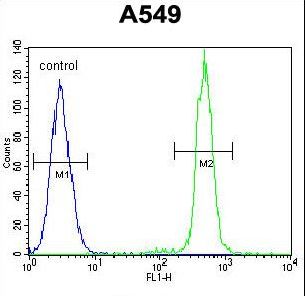 TCF3 / E2A Antibody - TCF3 Antibody flow cytometry of A549 cells (right histogram) compared to a negative control cell (left histogram). FITC-conjugated goat-anti-rabbit secondary antibodies were used for the analysis.