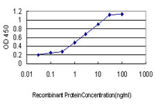 TCF3 / E2A Antibody - Detection limit for recombinant GST tagged TCF3 is approximately 0.03 ng/ml as a capture antibody.