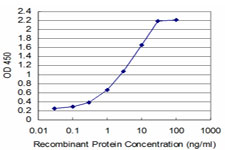 TCF7 Antibody - Detection limit for recombinant GST tagged TCF7 is approximately 0.03 ng/ml as a capture antibody.