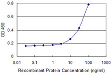 TCN2 Antibody - Detection limit for recombinant GST tagged TCN2 is 1 ng/ml as a capture antibody.
