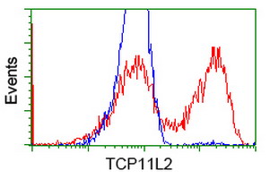TCP11L2 Antibody - HEK293T cells transfected with either overexpress plasmid (Red) or empty vector control plasmid (Blue) were immunostained by anti-TCP11L2 antibody, and then analyzed by flow cytometry.