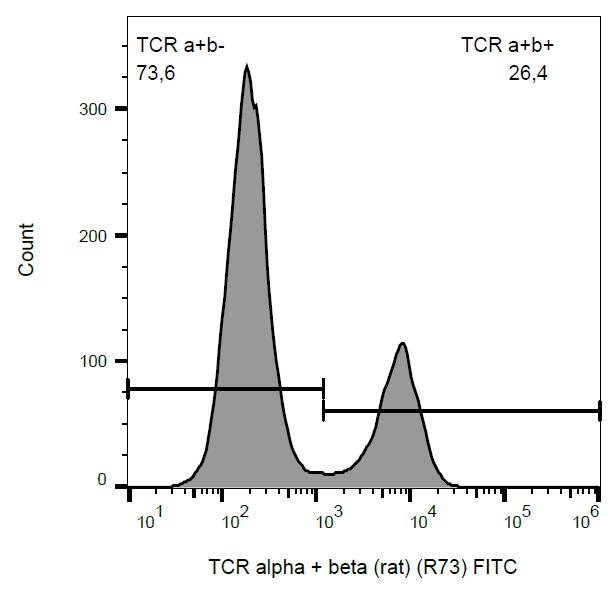 TCR Alpha + TCR Beta Antibody - Surface staining of rat splenocytes with anti-rat TCR alpha/beta (R73) FITC.