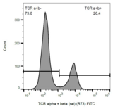 TCR Alpha + TCR Beta Antibody - Surface staining of rat splenocytes with anti-rat TCR alpha/beta (R73) FITC.