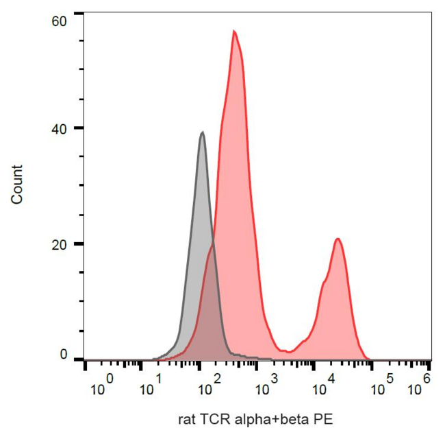 TCR Alpha + TCR Beta Antibody - Surface staining of rat thymocytes with anti-rat TCR alpha/beta (R73) PE.