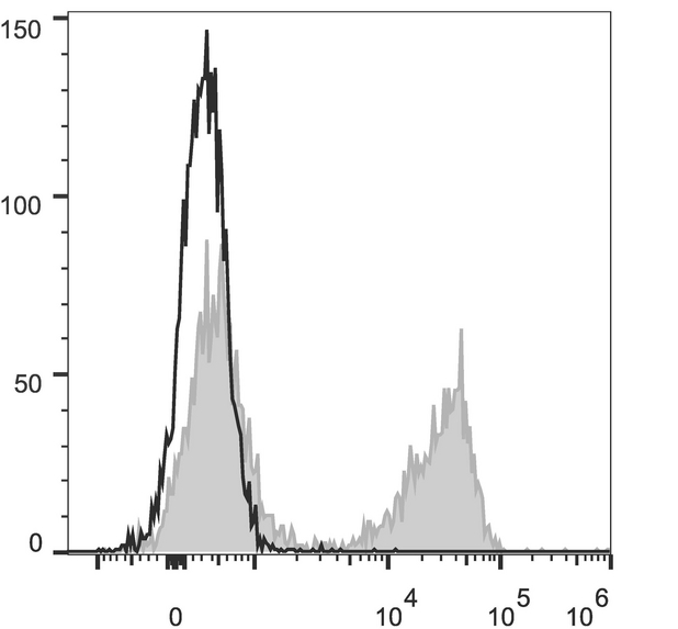 TCR Beta Antibody