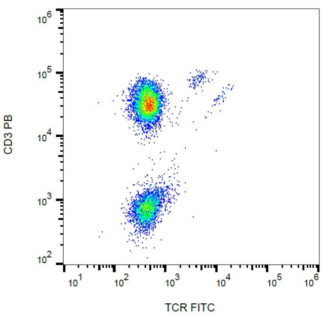TCR Gamma + TCR Delta Antibody - Surface staining of human peripheral blood lymphocytes with anti-human TCR gamma/delta (B1) FITC.