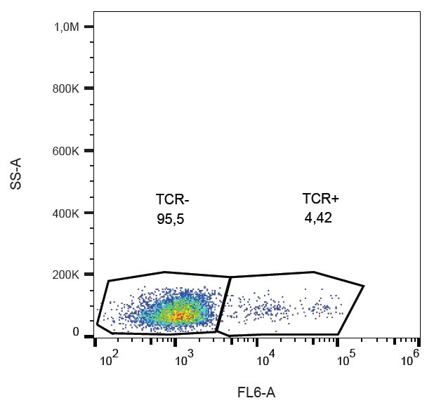 TCR Gamma + TCR Delta Antibody - Surface staining of human peripheral blood lymphocytes with anti-human TCR gamma/delta (B1) purified, GAM-APC. 