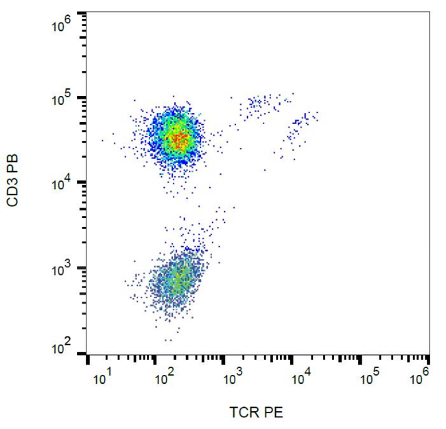 TCR Gamma + TCR Delta Antibody - Surface staining of human peripheral blood lymphocytes with anti-human TCR gamma/delta (B1) PE. 