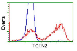 TCTN2 Antibody - HEK293T cells transfected with either overexpress plasmid (Red) or empty vector control plasmid (Blue) were immunostained by anti-TCTN2 antibody, and then analyzed by flow cytometry.