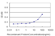 TDO2 Antibody - Detection limit for recombinant GST tagged TDO2 is approximately 10 ng/ml as a capture antibody.