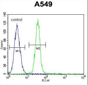 TDRD7 Antibody - TDRD7 Antibody flow cytometry of A549 cells (right histogram) compared to a negative control cell (left histogram). FITC-conjugated goat-anti-rabbit secondary antibodies were used for the analysis.