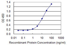 TECTA Antibody - Detection limit for recombinant GST tagged TECTA is 0.3 ng/ml as a capture antibody.