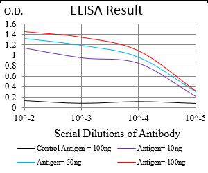 TERF2 / TRF2 Antibody - Red: Control Antigen (100ng); Purple: Antigen (10ng); Green: Antigen (50ng); Blue: Antigen (100ng);
