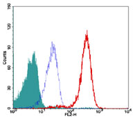 TERF2 / TRF2 Antibody - Intracellular flow cytometry of TRF2 in 10^6 human Jurkat cells using 0.1 ug of Monoclonal antibody to TRF2 (TTAGGG repeat binding factor 2). The shaded histogram represents cells alone, blue represents isotype control and red represents Monoclonal antibody to TRF2 (TTAGGG repeat binding factor 2), anti-TRF2.