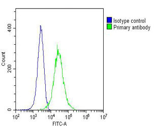 TERF2IP / RAP1 Antibody - Overlay histogram showing Hela cells stained with TERF2IP Antibody (green line). The cells were fixed with 2% paraformaldehyde (10 min) and then permeabilized with 90% methanol for 10 min. The cells were then icubated in 2% bovine serum albumin to block non-specific protein-protein interactions followed by the antibody (TERF2IP Antibody, 1:25 dilution) for 60 min at 37°C. The secondary antibody used was Goat-Anti-Mouse IgG, DyLight® 488 Conjugated Highly Cross-Adsorbed (OJ192088) at 1/200 dilution for 40 min at 37°C. Isotype control antibody (blue line) was mouse IgG1 (1µg/1x10^6 cells) used under the same conditions. Acquisition of >10, 000 events was performed.