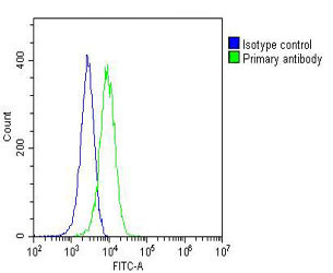 TERF2IP / RAP1 Antibody - Overlay histogram showing Hela cells stained with TERF2IP Antibody (green line). The cells were fixed with 2% paraformaldehyde (10 min) and then permeabilized with 90% methanol for 10 min. The cells were then icubated in 2% bovine serum albumin to block non-specific protein-protein interactions followed by the antibody (TERF2IP Antibody, 1:25 dilution) for 60 min at 37°C. The secondary antibody used was Goat-Anti-Mouse IgG, DyLight® 488 Conjugated Highly Cross-Adsorbed (OJ192088) at 1/200 dilution for 40 min at 37°C. Isotype control antibody (blue line) was mouse IgG1 (1µg/1x10^6 cells) used under the same conditions. Acquisition of >10, 000 events was performed.
