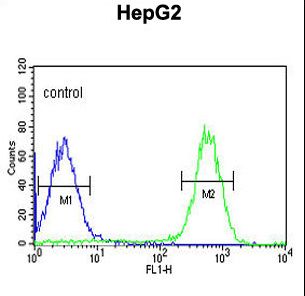 TESC Antibody - TESC Antibody flow cytometry of HepG2 cells (right histogram) compared to a negative control cell (left histogram). FITC-conjugated goat-anti-rabbit secondary antibodies were used for the analysis.