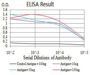 TFAP2A / AP-2 Antibody - Black line: Control Antigen (100 ng);Purple line: Antigen (10ng); Blue line: Antigen (50 ng); Red line:Antigen (100 ng)