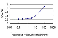 TFCP2 / CP2 Antibody - Detection limit for recombinant GST tagged TFCP2 is approximately 0.3 ng/ml as a capture antibody.