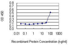 TFDP2 / DP2 Antibody - Detection limit for recombinant GST tagged TFDP2 is 10 ng/ml as a capture antibody.