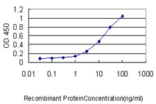TFEB Antibody - Detection limit for recombinant GST tagged TFEB is approximately 0.03 ng/ml as a capture antibody.