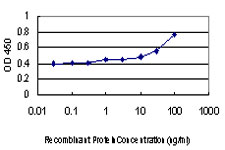 TFPI2 Antibody - Detection limit for recombinant GST tagged TFPI2 is approximately 0.03 ng/ml as a capture antibody.