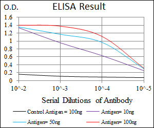 TGFB1 / TGF Beta 1 Antibody - Red: Control Antigen (100ng); Purple: Antigen (10ng); Green: Antigen (50ng); Blue: Antigen (100ng);
