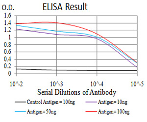 TH / Tyrosine Hydroxylase Antibody - Black line: Control Antigen (100 ng);Purple line: Antigen (10ng); Blue line: Antigen (50 ng); Red line:Antigen (100 ng)