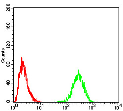 TH / Tyrosine Hydroxylase Antibody - Flow cytometric analysis of Hela cells using TH mouse mAb (green) and negative control (red).