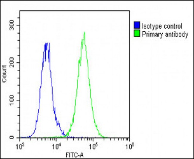 THBD / CD141 / Thrombomodulin Antibody - Overlay histogram showing A549 cells stained with THBD Antibody (C-Term) (green line). The cells were fixed with 2% paraformaldehyde (10 min) and then permeabilized with 90% methanol for 10 min. The cells were then icubated in 2% bovine serum albumin to block non-specific protein-protein interactions followed by the antibody (THBD Antibody (C-Term), 1:25 dilution) for 60 min at 37°C. The secondary antibody used was Goat-Anti-Rabbit IgG, DyLight® 488 Conjugated Highly Cross-Adsorbed (1583138) at 1/200 dilution for 40 min at 37°C. Isotype control antibody (blue line) was rabbit IgG1 (1µg/1x10^6 cells) used under the same conditions. Acquisition of >10, 000 events was performed.