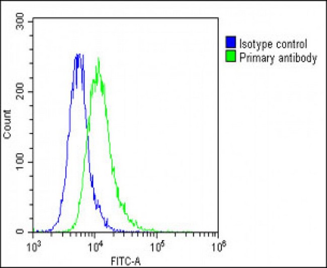 THBD / CD141 / Thrombomodulin Antibody - Overlay histogram showing A549 cells stained with THBD Antibody (N-Term) (green line). The cells were fixed with 2% paraformaldehyde (10 min) and then permeabilized with 90% methanol for 10 min. The cells were then icubated in 2% bovine serum albumin to block non-specific protein-protein interactions followed by the antibody (THBD Antibody (N-Term), 1:25 dilution) for 60 min at 37°C. The secondary antibody used was Goat-Anti-Rabbit IgG, DyLight® 488 Conjugated Highly Cross-Adsorbed (1583138) at 1/200 dilution for 40 min at 37°C. Isotype control antibody (blue line) was rabbit IgG1 (1µg/1x10^6 cells) used under the same conditions. Acquisition of >10, 000 events was performed.