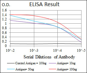 THPO / TPO / Thrombopoietin Antibody - Red: Control Antigen (100ng); Purple: Antigen (10ng); Green: Antigen (50ng); Blue: Antigen (100ng);
