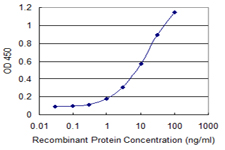 THRSP Antibody - Detection limit for recombinant GST tagged THRSP is 0.3 ng/ml as a capture antibody.