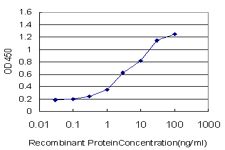 THTPA Antibody - Detection limit for recombinant GST tagged THTPA is approximately 0.1 ng/ml as a capture antibody.