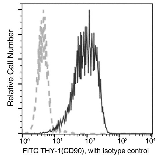 THY1 / CD90 Antibody - Flow cytometric analysis of Human THY-1(CD90) expression on HEL92.1.7 cells. Cells were stained with FITC-conjugated anti-Human THY-1(CD90). The fluorescence histograms were derived from gated events with the forward and side light-scatter characteristics of intact cells.