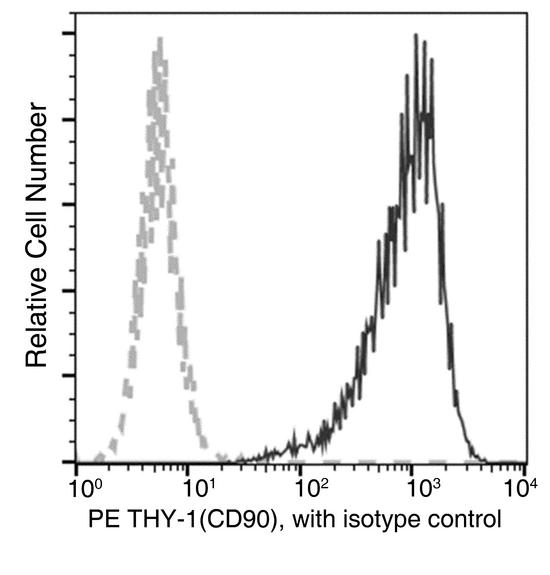 THY1 / CD90 Antibody - Flow cytometric analysis of Human THY-1(CD90) expression on HEL92.1.7 cells. Cells were stained with PE-conjugated anti-Human THY-1(CD90). The fluorescence histograms were derived from gated events with the forward and side light-scatter characteristics of intact cells.