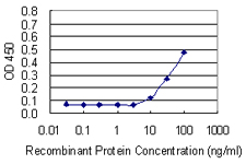 THY1 / CD90 Antibody - Detection limit for recombinant GST tagged THY1 is 3 ng/ml as a capture antibody.