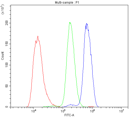 THY1 / CD90 Antibody - Flow Cytometry analysis of YAC-1 cells using anti-Mouse CD90/Thy1 antibody. Overlay histogram showing YAC-1 cells stained with anti-Mouse CD90/Thy1 antibody (Blue line). The cells were blocked with 10% normal goat serum. And then incubated with rabbit anti-Mouse CD90/Thy1 Antibody (1µg/10E6 cells) for 30 min at 20°C. DyLight®488 conjugated goat anti-rabbit IgG (5-10µg/10E6 cells) was used as secondary antibody for 30 minutes at 20°C. Isotype control antibody (Green line) was rabbit IgG (1µg/10E6 cells) used under the same conditions. Unlabelled sample (Red line) was also used as a control.