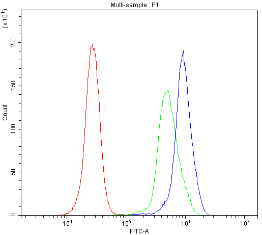 THY1 / CD90 Antibody - Flow Cytometry analysis of SP2-0 cells using anti-CD90/Thy1 antibody. Overlay histogram showing SP2-0 cells stained with anti-CD90/Thy1 antibody (Blue line). The cells were blocked with 10% normal goat serum. And then incubated with rabbit anti-CD90/Thy1 Antibody (1µg/10E6 cells) for 30 min at 20°C. DyLight®488 conjugated goat anti-rabbit IgG (5-10µg/10E6 cells) was used as secondary antibody for 30 minutes at 20°C. Isotype control antibody (Green line) was rabbit IgG (1µg/10E6 cells) used under the same conditions. Unlabelled sample (Red line) was also used as a control.